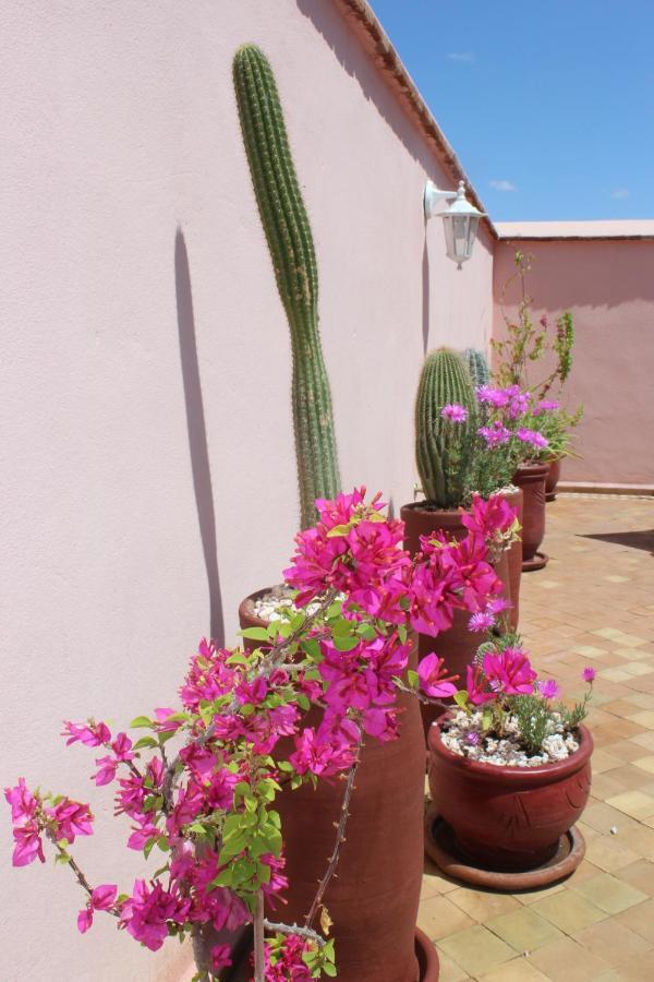 Riad El Arco Rooftop Pool & Spa Marrakesh Bagian luar foto